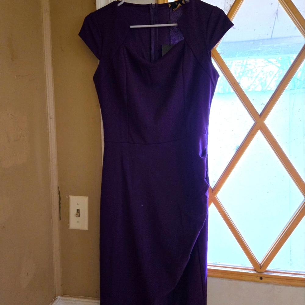 Elegant Purple Dress